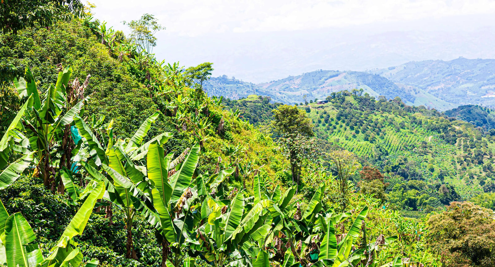 What is Regenerative Agriculture? (And Why It Makes Your Snacks Better)